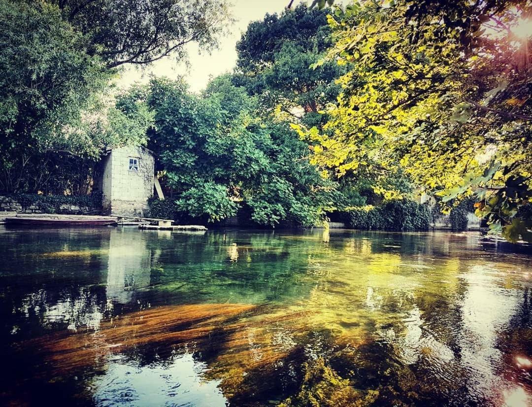 Mas et Gite de la Picholine LʼIsle-sur-la-Sorgue Extérieur photo